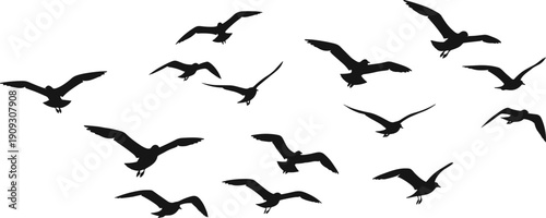 Flock of flying seagulls vector silhouette illustration, representing freedom, travel, and nature, perfect for logo design, decorative elements, or minimalist coastal artwork on white background.