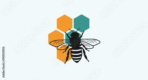 Stylized illustration of a honeybee silhouette positioned over a group of orange and teal hexagonal honeycomb shapes.