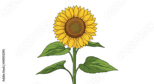 Beautiful bright yellow sunflower with a dark center standing tall on a green stem with large textured leaves.