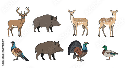 Collection of various wild animal illustrations including deer, boars, a pheasant, a turkey, and a mallard duck for hunting or nature themes.