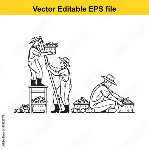  three farmers harvesting grapes in a simple black and white illustration