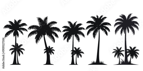 A collection of various tropical palm tree silhouettes standing in groups, isolated on a white background, designed as a versatile vector graphic element for summer and vacation themes.
