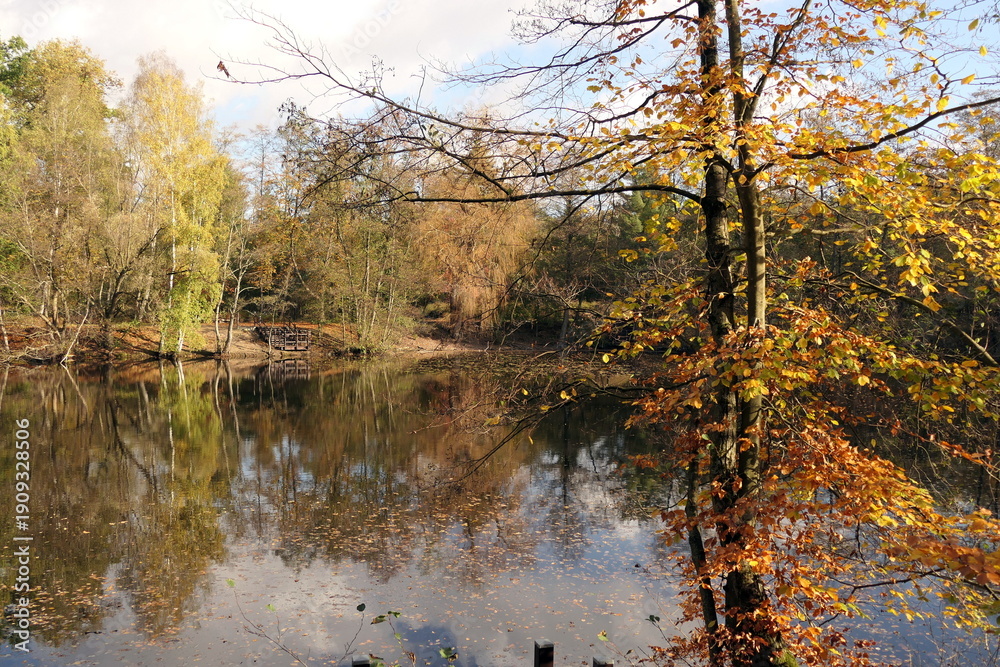 Fototapeta premium Kesselbruchweiher im Herbst