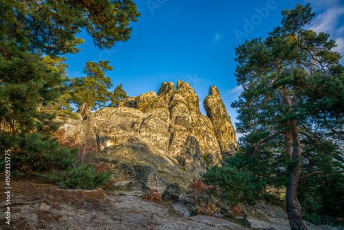 Wallpaper Mural Hamburger Wappen - Thale - Sachsen Anhalt Torontodigital.ca