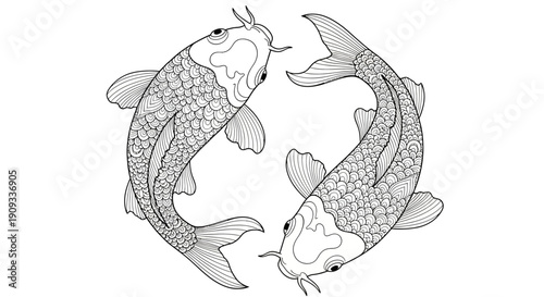 Two Koi fish forming a yin yang symbol, drawn in a detailed line art style on a white background
