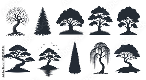 Collection of Silhouetted Trees in Various Styles and Sizes for Design and Decoration