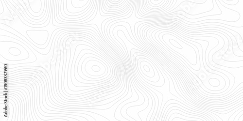Minimal grid landscape white and gray area curve topography elevation map design. wave diagram contour stripe spiral composition discovery paper surface design.