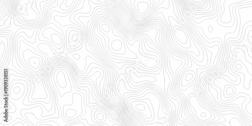 Minimal grid landscape white and gray area curve topography elevation map design. wave diagram contour stripe spiral composition discovery paper surface design.