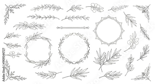 Botanical Wreath Elements & Ornaments: Hand-Drawn Leaves, Branches, and Frames