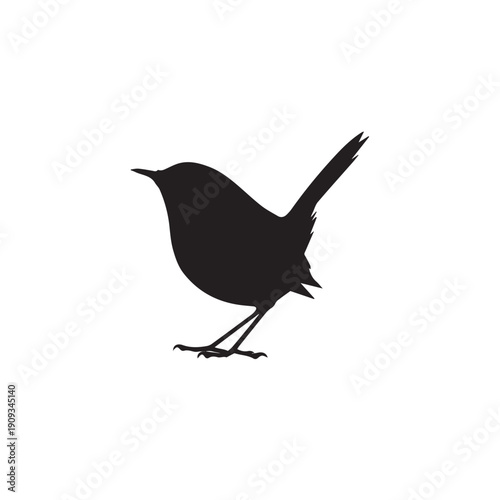 Φωτογραφία silhouette of a warbler on white