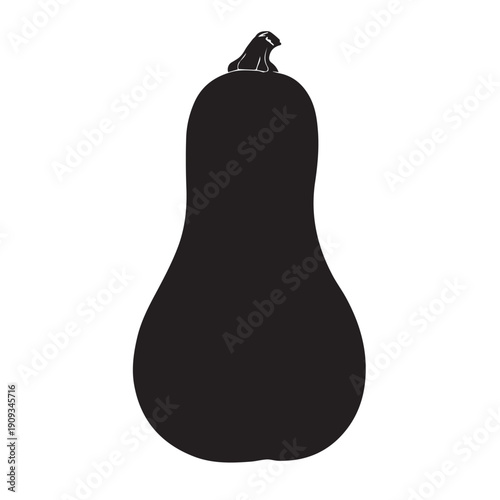 Butternut squash silhouette icon vector flat illustration design.