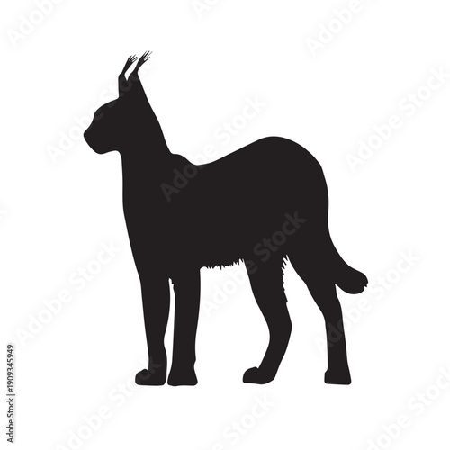 Caracal silhouette vector flat illustration design.