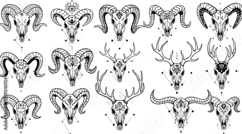 Animal skull line art set, ram and deer skull illustrations, boho tribal sacred geometry design, 