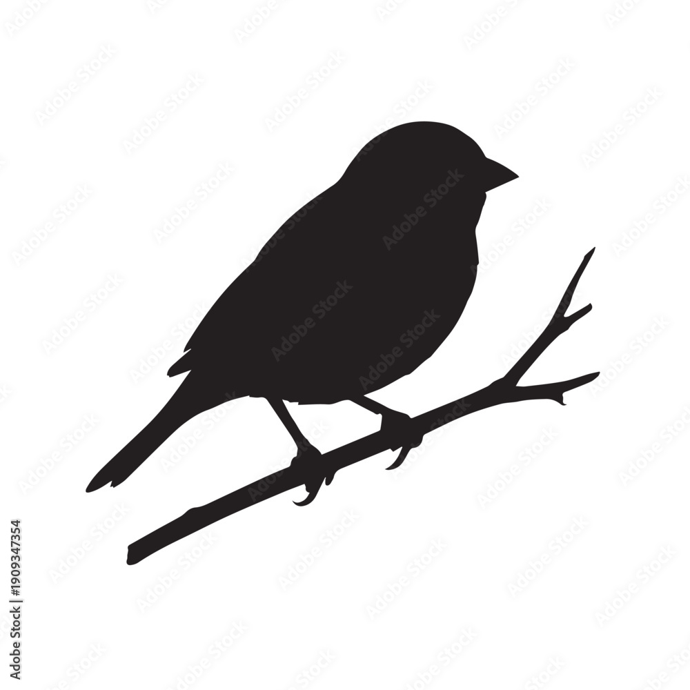 Obraz premium A sparrow bird silhouette vector style