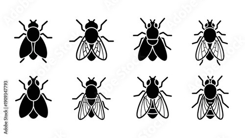 Black silhouette illustrations of multiple flies.