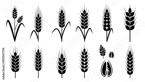 Black wheat icons on white background.