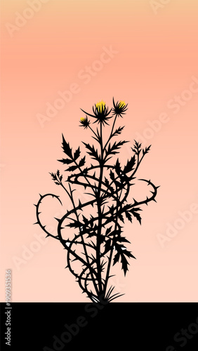 Vector illustration of thorny plants with yellow flowers in a serene environment from a front viewpoint, 77.eps