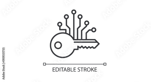 Vector Illustration of a Key with Circuit Board Elements
