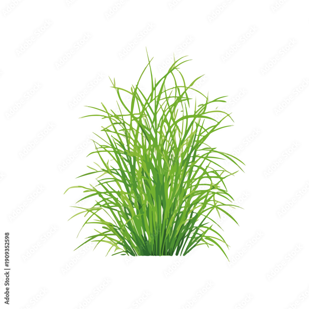 Fototapeta premium Realistic Green Grass Bush Isolated on White Background