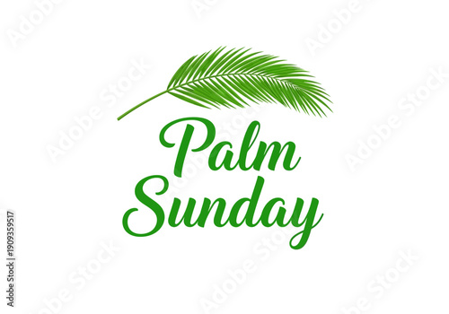 Palm sunday greeting with green palm leaf illustration