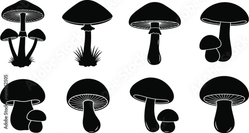 Big set of various wild mushroom silhouettes vector illustration isolated on white background, black edible fungi and toadstool graphic for nature food design