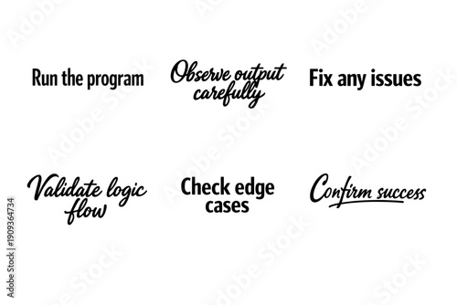 Steps for ensuring software functionality and accuracy in programming