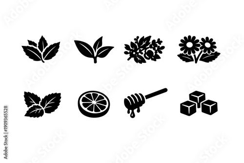 Collection of herbal and natural ingredient icons in black silhouettes
