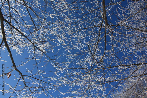 Beautiful winter landscape