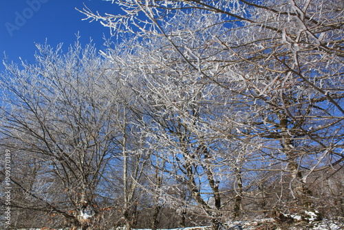 Beautiful winter landscape