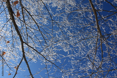 Beautiful winter landscape