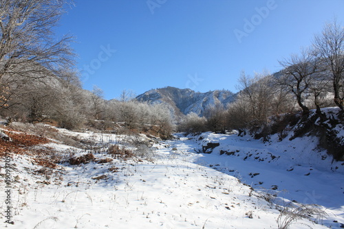 Beautiful winter landscape
