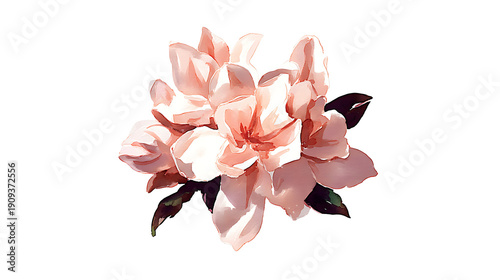 A flower with pink petals and green leaves