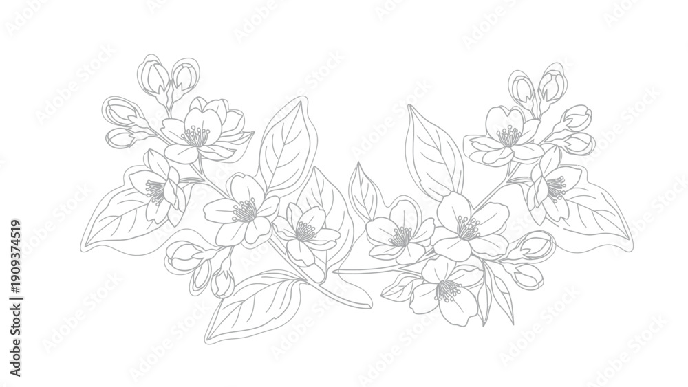 Fototapeta premium A symmetrical, linear illustration of flowers, buds, and leaves. White background