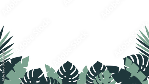 Bottom border of lush tropical monstera and palm leaves in various shades of green on a clean white background.