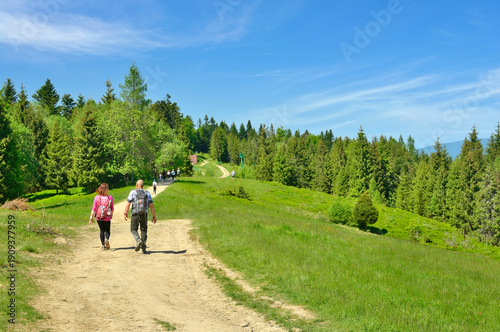 Group of tourists walk along the hiking trail on a sunny summer day, Tobolow peak, Gorce mountains, Poland