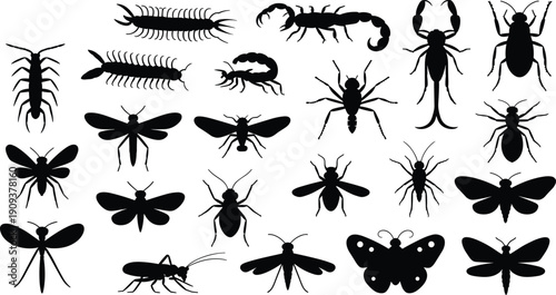 Arthropod silhouettes collection, insects, arachnids, myriapods, beetles, ants, butterflies, dragonflies, scorpions, centipedes, millipedes, entomology biology design elements