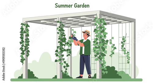 Man Pruning Vines on Pergola in Summer Garden Illustration