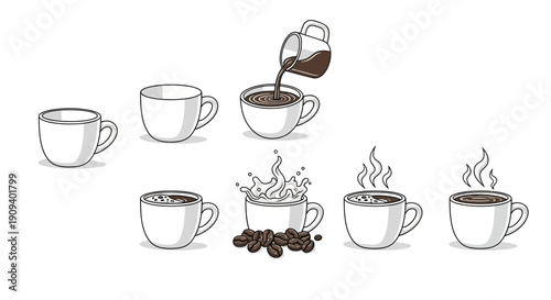 Coffee Making Process: From Beans to Steaming Cup