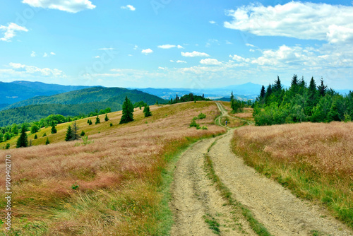 View of the Beskids mountains in summer sunny day, Mogielica, Island Beskids (Beskid Wyspowy), Poland