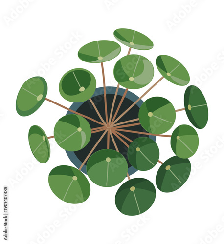 Stylized top-down flat vector illustration of a Pilea peperomioides (Chinese money plant) with round green leaves radiating from a central pot. Minimal modern botanical design isolated