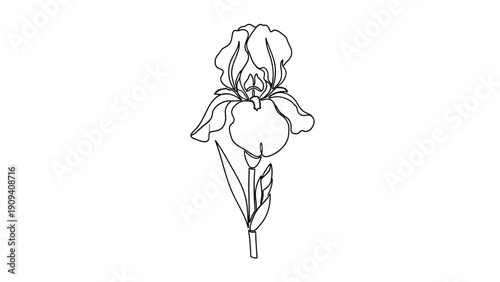 Simple black and white line drawing of a flower. Features petals and leaves on a stem
