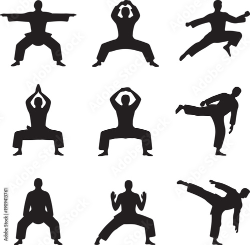Silhouette of various martial arts poses and movements with people