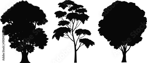 Colorful abstract running horse with flying birds, vibrant psychedelic vector illustration isolated on white background design