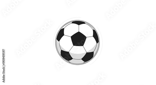Classic Black and White Soccer Ball.