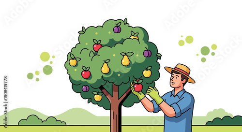 Farmer Harvesting Fruit from Tree - Healthy Organic Produce