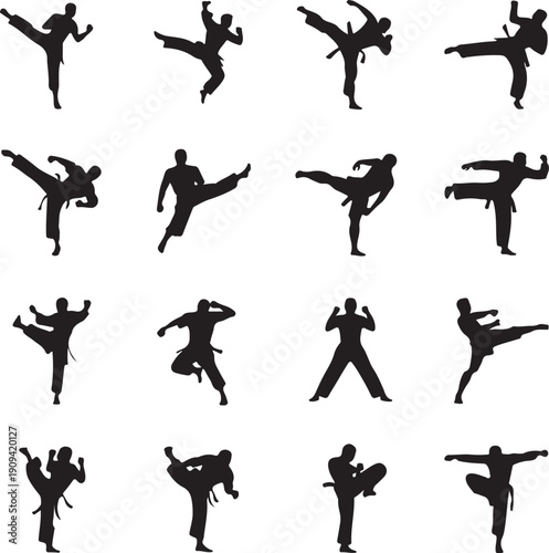 Silhouettes of people practicing various martial arts kicks and poses
