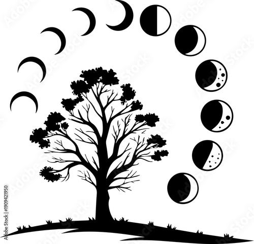Black and White Vector Silhouette of Tree with Moon Phases Cycle Astronomy Nature Graphic