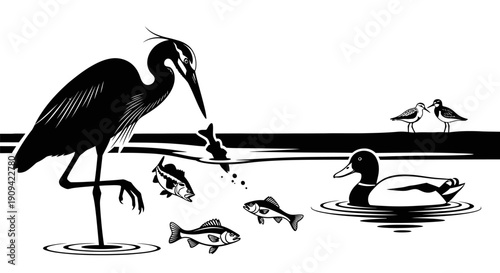 Black and white illustration of a heron catching fish in water with a duck and other birds nearby.