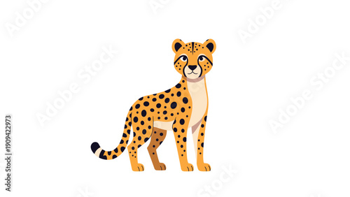 Realistic cheetah illustration shows the animal standing and looking forward with its beautiful spotted coat on a white background.