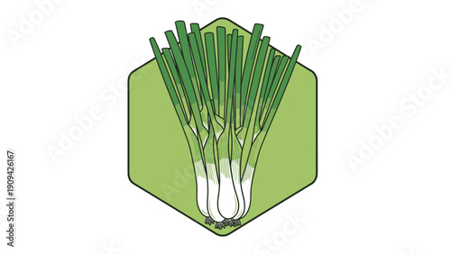 Illustration of a bunch of green onions enclosed in a light green hexagonal shape